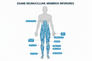 ENMG - Membros Inferiores